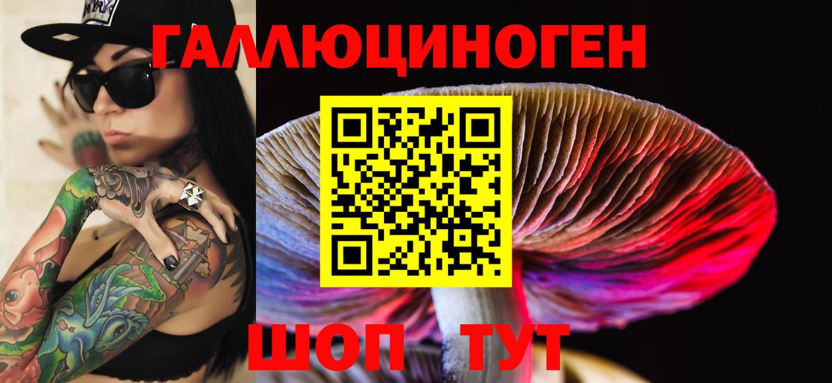 Псилоцибиновые грибы Psilocybine cubensis  Вход с VPN  Псилоцибиновые грибы Psilocybine cubensis  Казань 